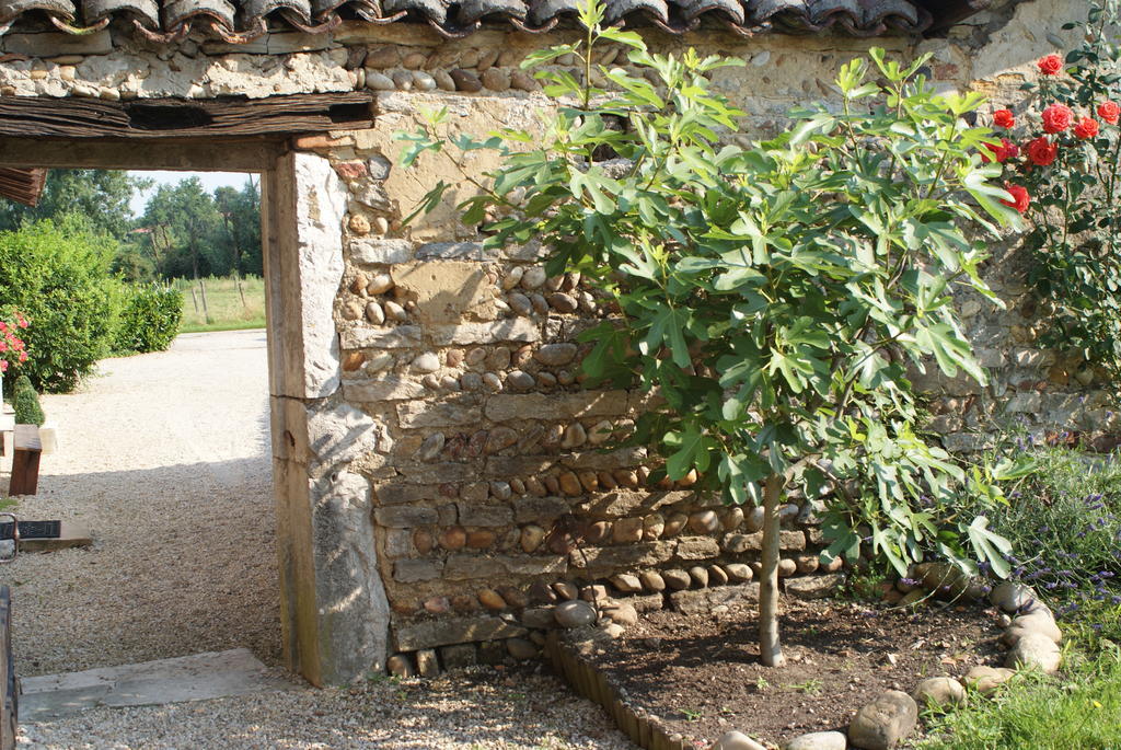 Bed and Breakfast Le Moulin De Champagne Вириа Экстерьер фото